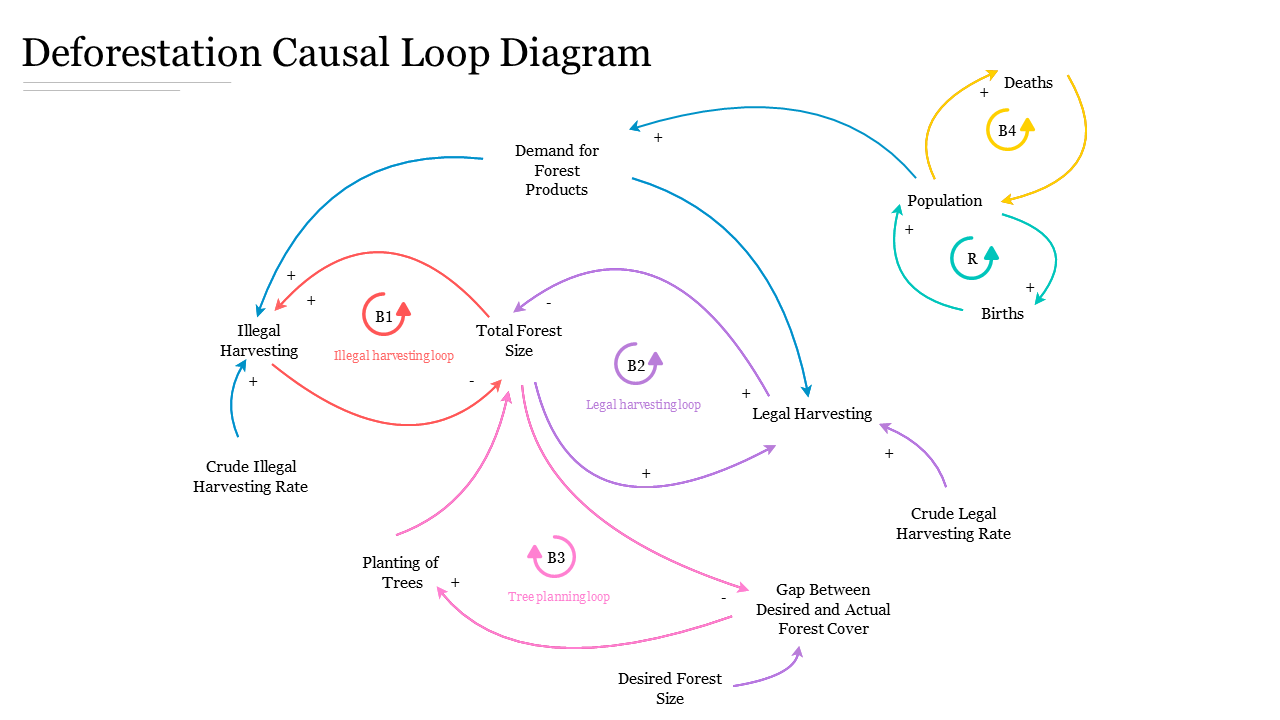 Deforestation Causal Loop Diagram